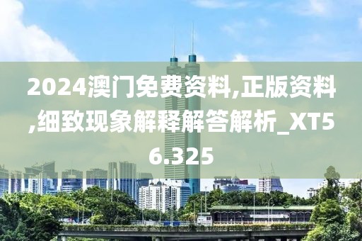 2024澳门免费资料,正版资料,细致现象解释解答解析_XT56.325
