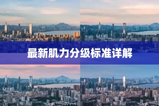 最新肌力分级标准详解