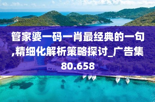 管家婆一码一肖最经典的一句,精细化解析策略探讨_广告集80.658