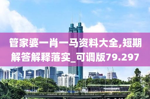 管家婆一肖一马资料大全,短期解答解释落实_可调版79.297