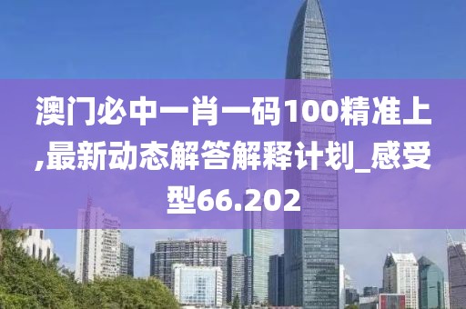 澳门必中一肖一码100精准上,最新动态解答解释计划_感受型66.202