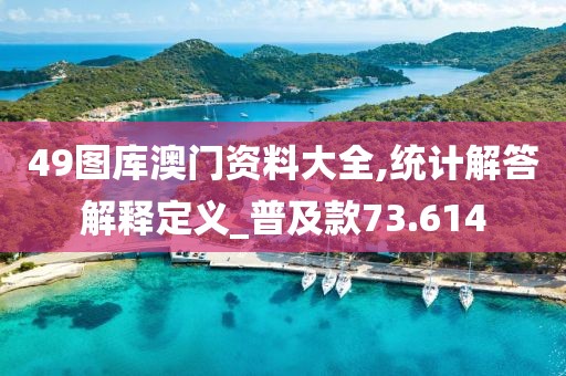 49图库澳门资料大全,统计解答解释定义_普及款73.614