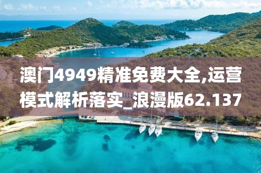 澳门4949精准免费大全,运营模式解析落实_浪漫版62.137