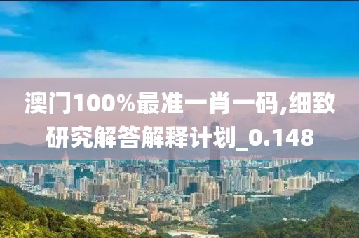 澳门100%最准一肖一码,细致研究解答解释计划_0.148