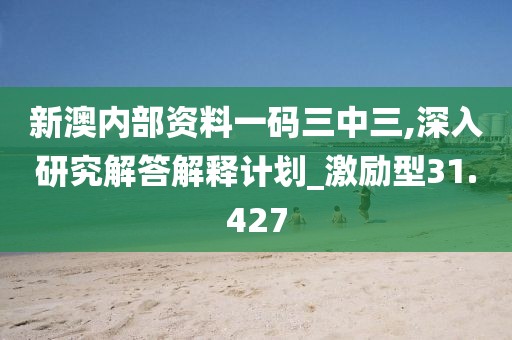 新澳内部资料一码三中三,深入研究解答解释计划_激励型31.427