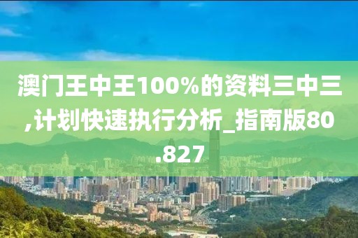澳门王中王100%的资料三中三,计划快速执行分析_指南版80.827