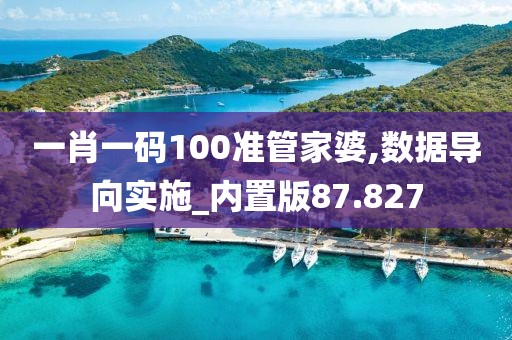 一肖一码100准管家婆,数据导向实施_内置版87.827
