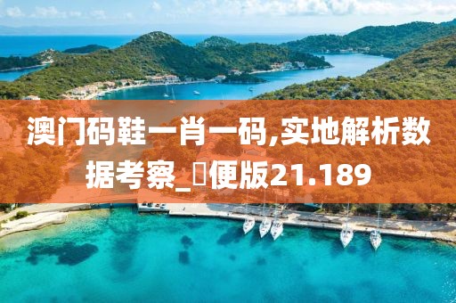 澳门码鞋一肖一码,实地解析数据考察_簡便版21.189