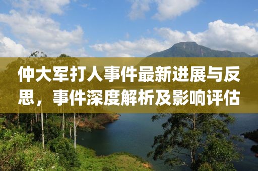 仲大军打人事件最新进展与反思，事件深度解析及影响评估