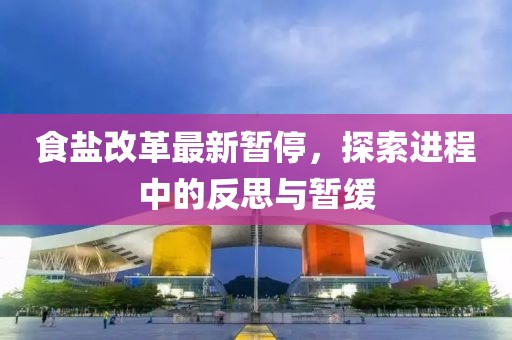 食盐改革最新暂停，探索进程中的反思与暂缓