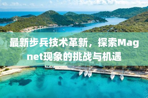 最新步兵技术革新，探索Magnet现象的挑战与机遇
