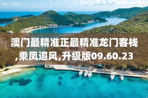 两把枪闯天下 第55页