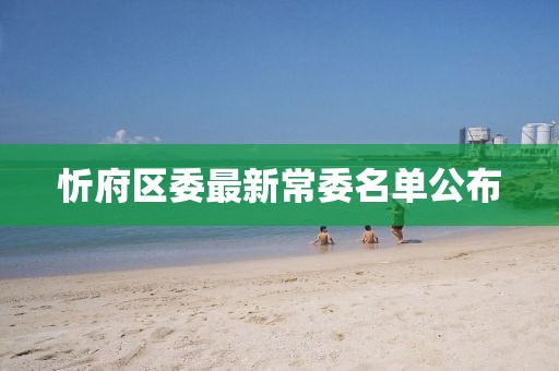 忻府区委最新常委名单公布