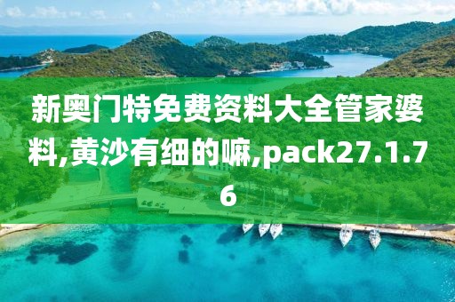 新奥门特免费资料大全管家婆料,黄沙有细的嘛,pack27.1.76