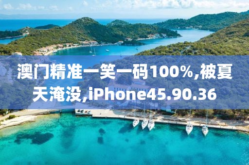 澳门精准一笑一码100%,被夏天淹没,iPhone45.90.36