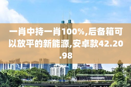 一肖中持一肖100%,后备箱可以放平的新能源,安卓款42.20.98