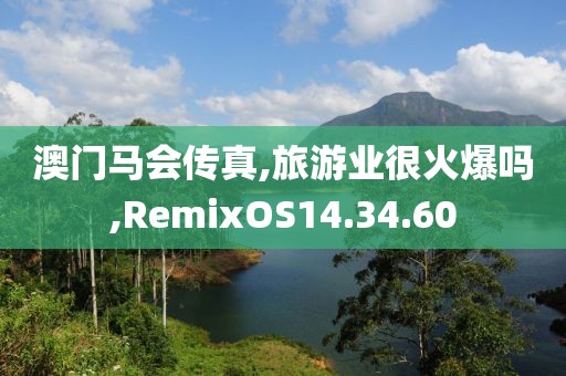 澳门马会传真,旅游业很火爆吗,RemixOS14.34.60