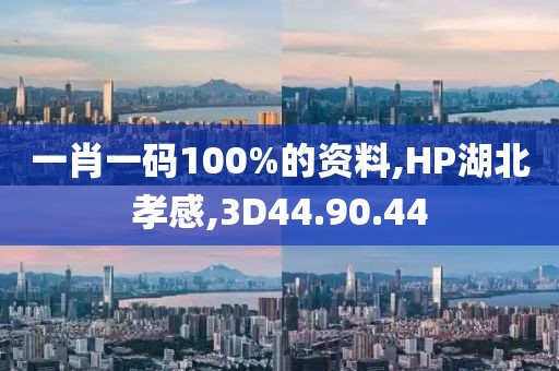 一肖一码100%的资料,HP湖北孝感,3D44.90.44