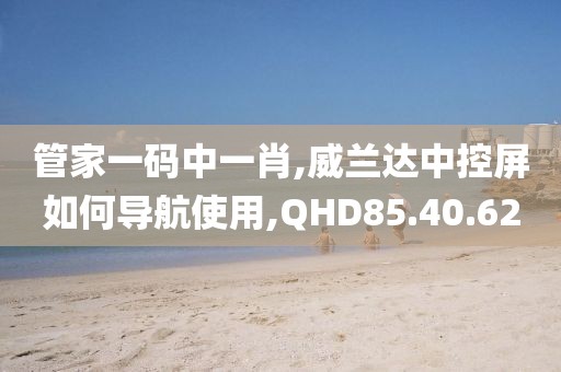管家一码中一肖,威兰达中控屏如何导航使用,QHD85.40.62