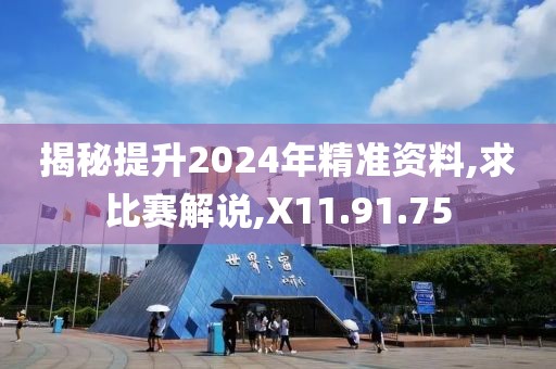 揭秘提升2024年精准资料,求比赛解说,X11.91.75