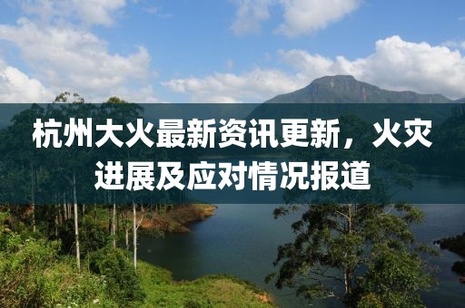 杭州大火最新资讯更新，火灾进展及应对情况报道