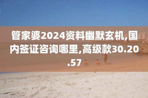 管家婆2024资料幽默玄机,国内签证咨询哪里,高级款30.20.57