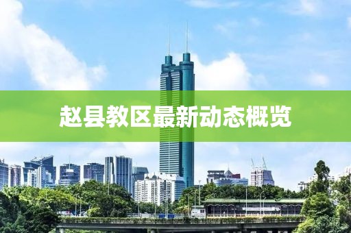 赵县教区最新动态概览
