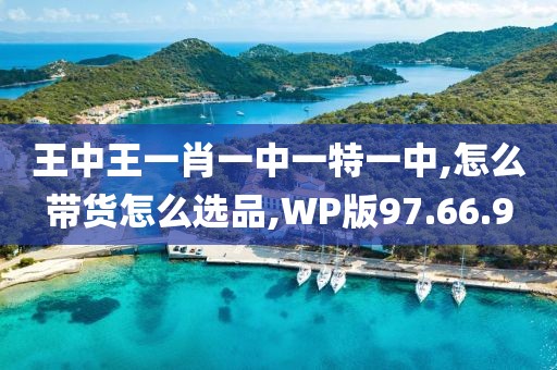 王中王一肖一中一特一中,怎么带货怎么选品,WP版97.66.9