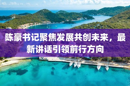 陈豪书记聚焦发展共创未来，最新讲话引领前行方向