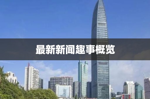 最新新闻趣事概览