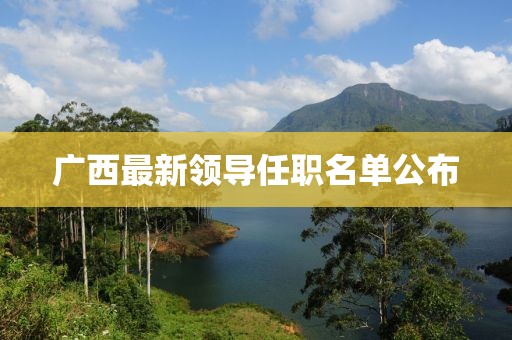 广西最新领导任职名单公布