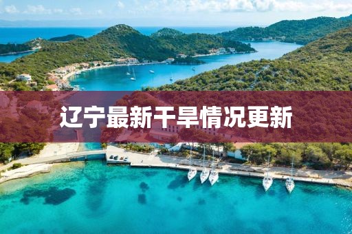辽宁最新干旱情况更新