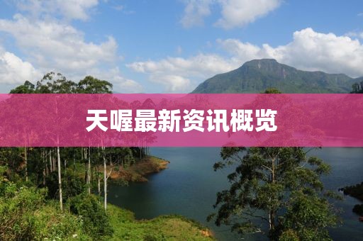 天喔最新资讯概览