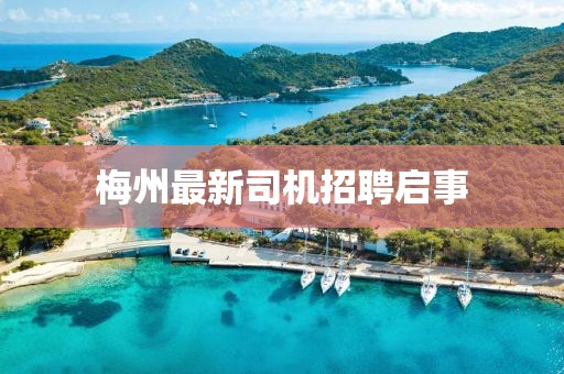 梅州最新司机招聘启事