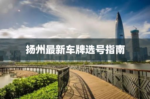 扬州最新车牌选号指南