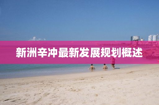 新洲辛冲最新发展规划概述