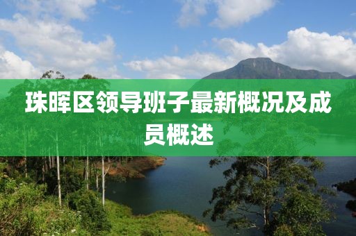 珠晖区领导班子最新概况及成员概述