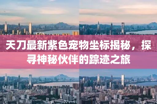 天刀最新紫色宠物坐标揭秘，探寻神秘伙伴的踪迹之旅
