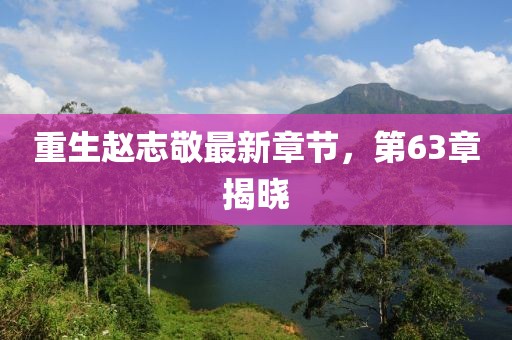 重生赵志敬最新章节，第63章揭晓