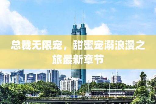 总裁无限宠，甜蜜宠溺浪漫之旅最新章节