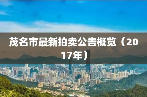 茂名市最新拍卖公告概览（2017年）