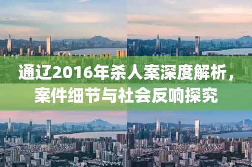 通辽2016年杀人案深度解析，案件细节与社会反响探究