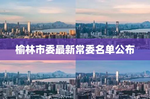 榆林市委最新常委名单公布