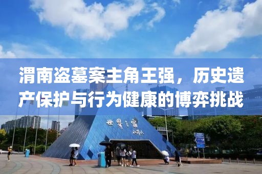 渭南盗墓案主角王强，历史遗产保护与行为健康的博弈挑战