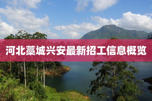 河北藁城兴安最新招工信息概览