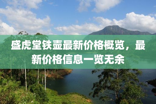 盛虎堂铁壶最新价格概览，最新价格信息一览无余