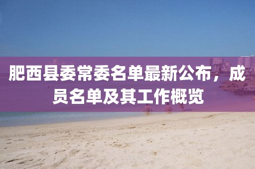 肥西县委常委名单最新公布，成员名单及其工作概览