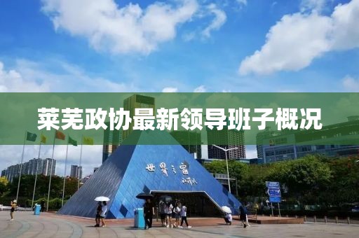 莱芜政协最新领导班子概况