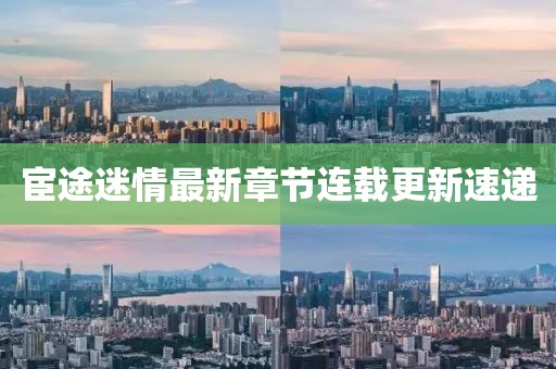 宦途迷情最新章节连载更新速递
