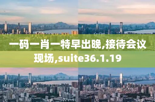 一码一肖一特早出晚,接待会议现场,suite36.1.19